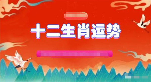 2024年一肖一码一中一特|精选解释解析落实超级版200.333