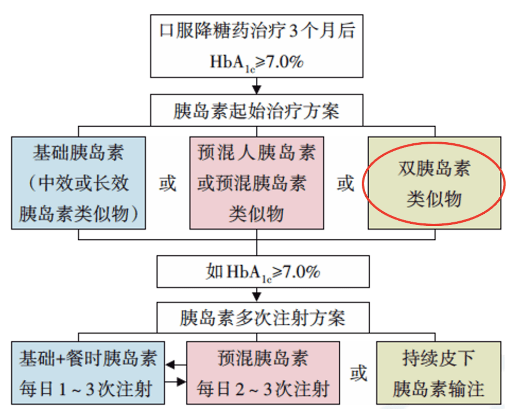 入疆新篇章，最新消息解读与展望