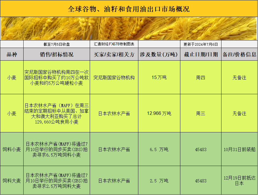 欧股市场动态，最新消息与深度解析