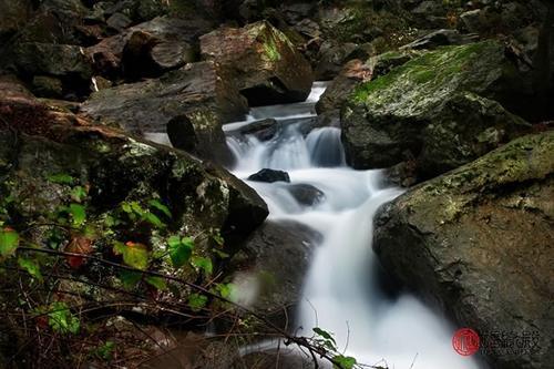 涧下水生平地术，从数定米开 打一生肖|精选解释解析落实