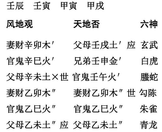 贵人指点，五花八门. 飞提更高望更远 打一精准生肖|澳门释义成语解释