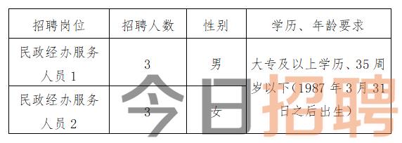 尤溪县最新招聘信息全面解析