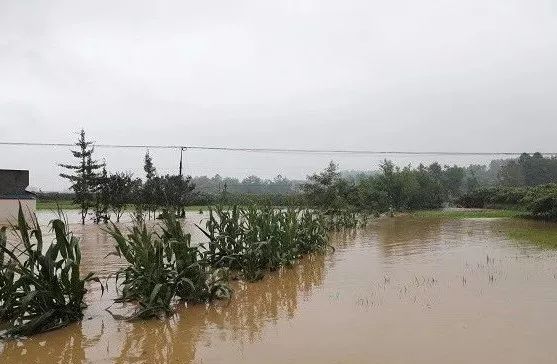 四川眉山暴雨最新情况报道