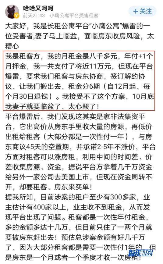 深圳小鹰公寓最新事件，揭秘与反思