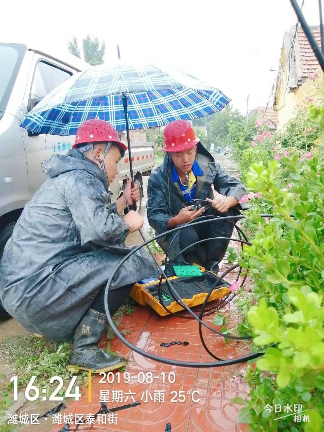 台风2019最新消息，风雨中的坚守与应对