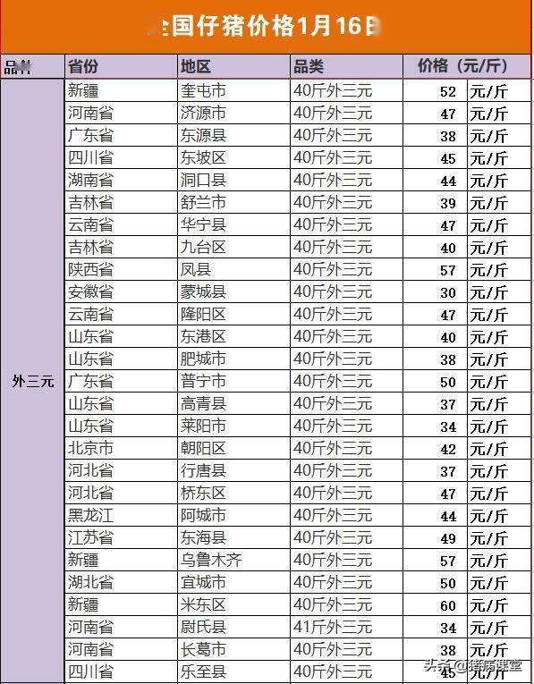 最新云南小猪价格行情分析