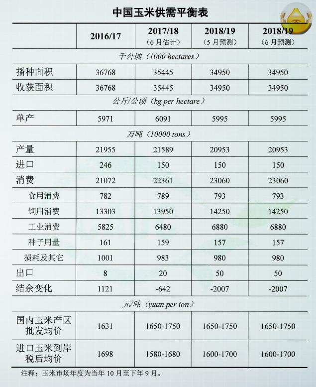 广西最新玉米价格分析报告