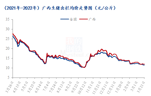 今日全国最新猪价与广西市场动态分析