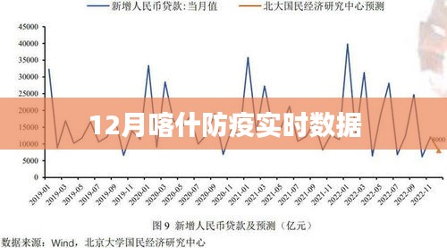 喀什最新疫情报告，全面解析与应对策略