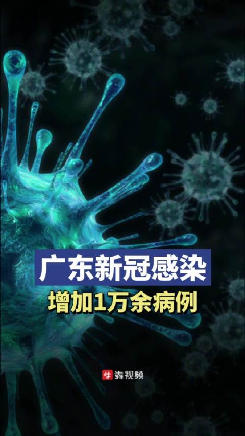 新冠肺炎最新情况报告，广东疫情防控的最新进展与措施