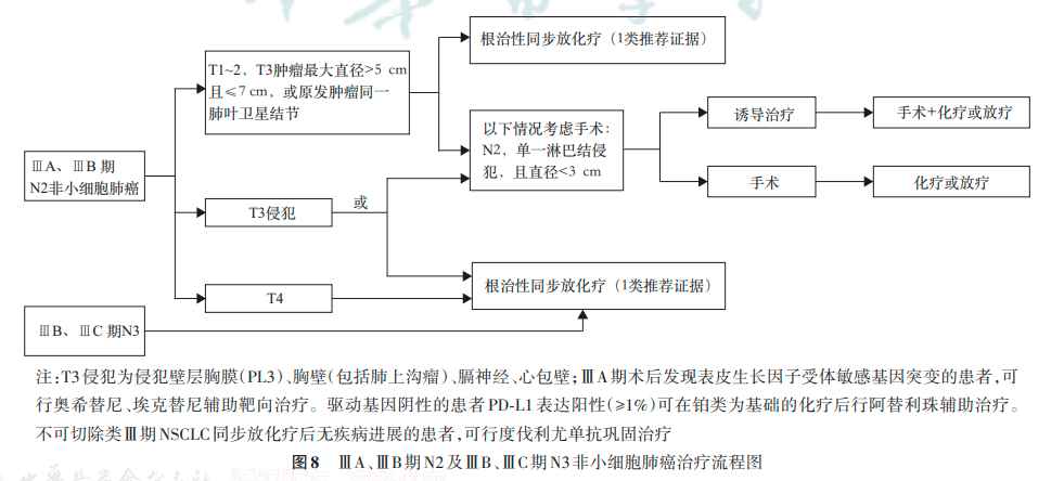 医学最新指南的获取途径与解读