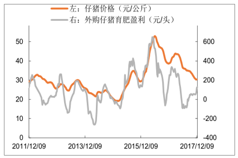 母猪价格与今日猪价最新动态分析