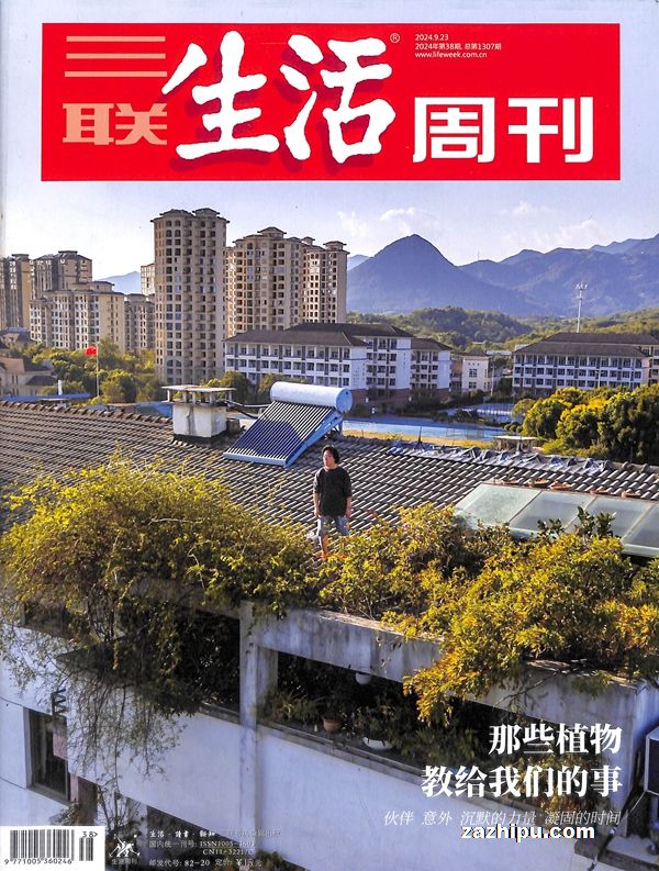 三联生活周刊最新动态与深度观察