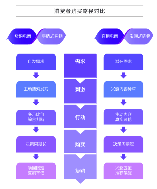 海外抖音最新情况深度解析