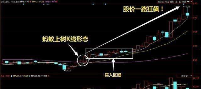 蚂蚁股票最新动态解析