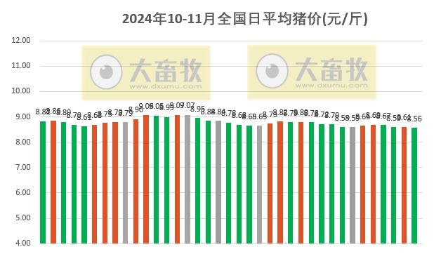 肥猪市场行情分析，猪价最新报价与市场动态