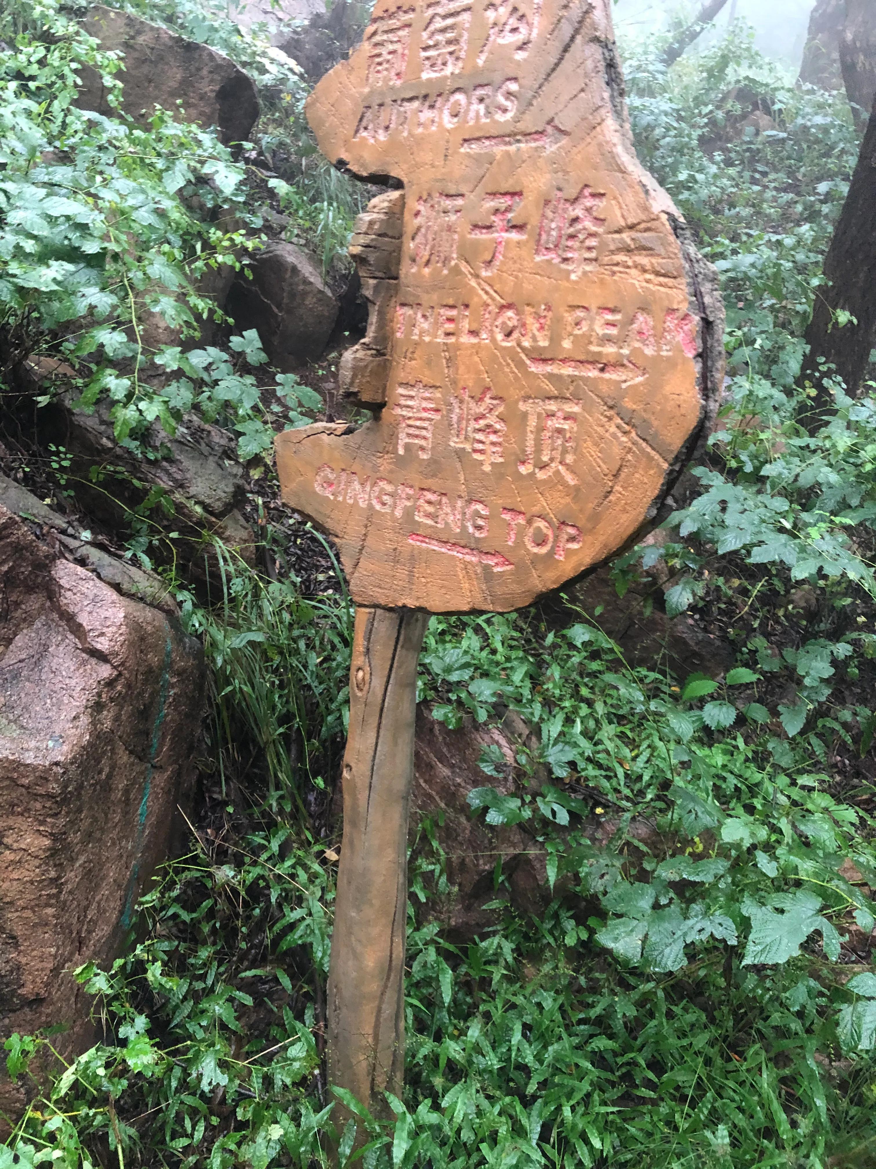 青岛暴雨最新消息，城市应对与民众行动