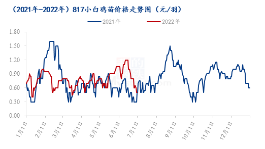 今日817毛鸡最新价格分析