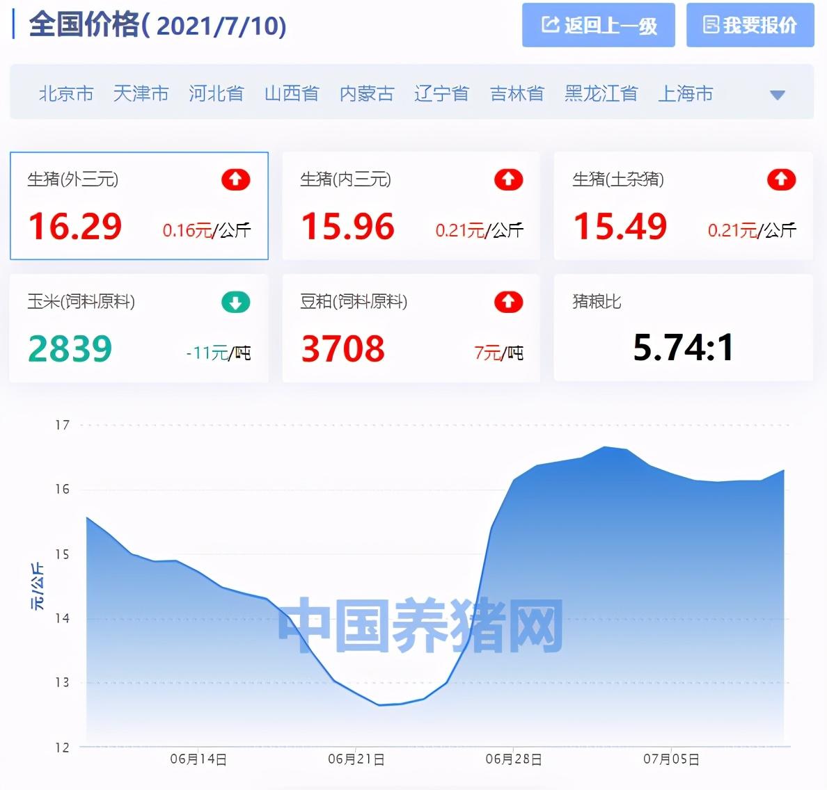 全国猪价格表最新——市场动态与解析