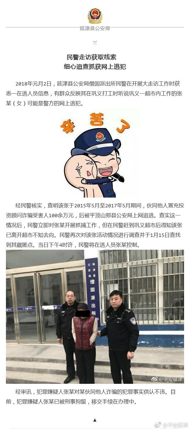 网络逃犯最新消息追踪与解析