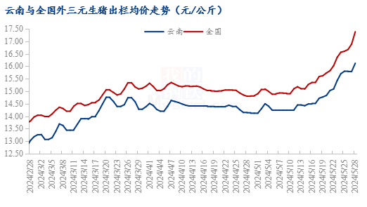 今日猪价行情最新云南