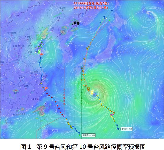 台风走势最新动态解析