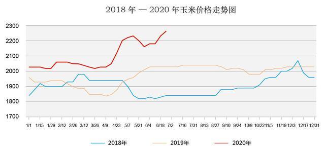 今日玉米价格走势分析